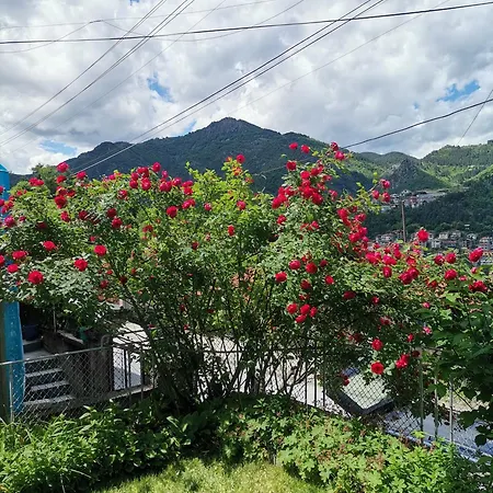 Apartment - софи, гр. *