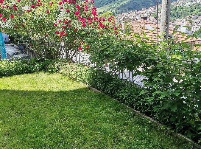 - софи, гр. Apartment Dewin