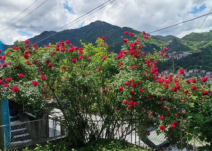 Apartment - софи, гр. *